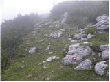 Koprivna (Kumer) - Velika glava (Peca)